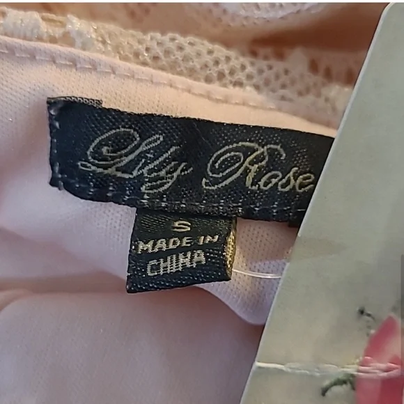 NWT Lily Rose dress. Blush size small - Picture 6 of 8